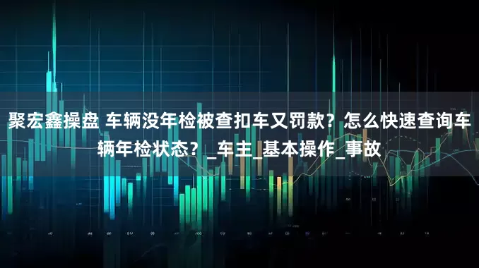 聚宏鑫操盘 车辆没年检被查扣车又罚款？怎么快速查询车辆年检状态？_车主_基本操作_事故