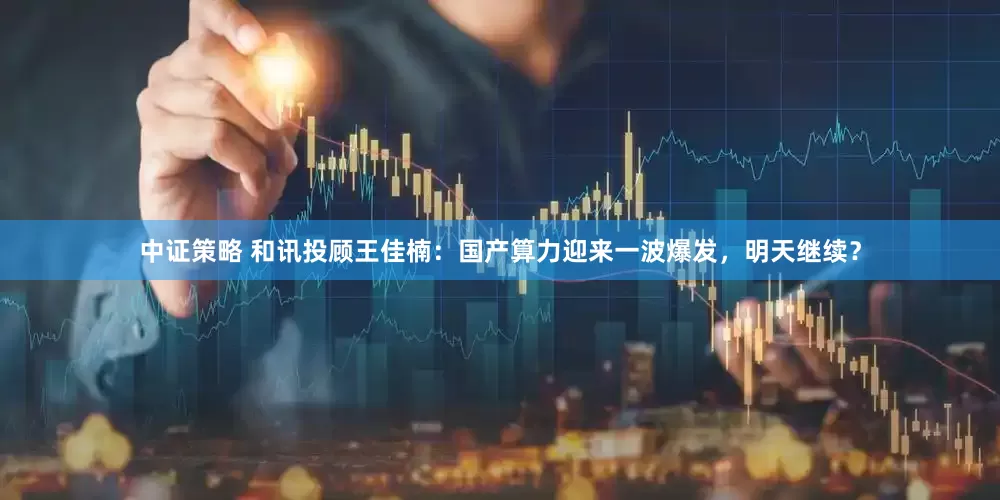 中证策略 和讯投顾王佳楠：国产算力迎来一波爆发，明天继续？