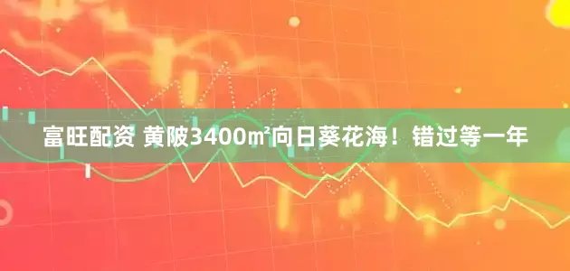 富旺配资 黄陂3400㎡向日葵花海！错过等一年