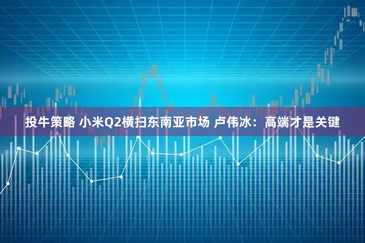 投牛策略 小米Q2横扫东南亚市场 卢伟冰：高端才是关键
