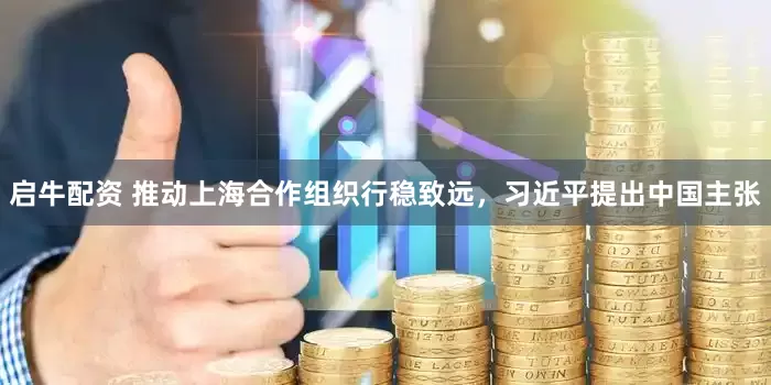 启牛配资 推动上海合作组织行稳致远，习近平提出中国主张