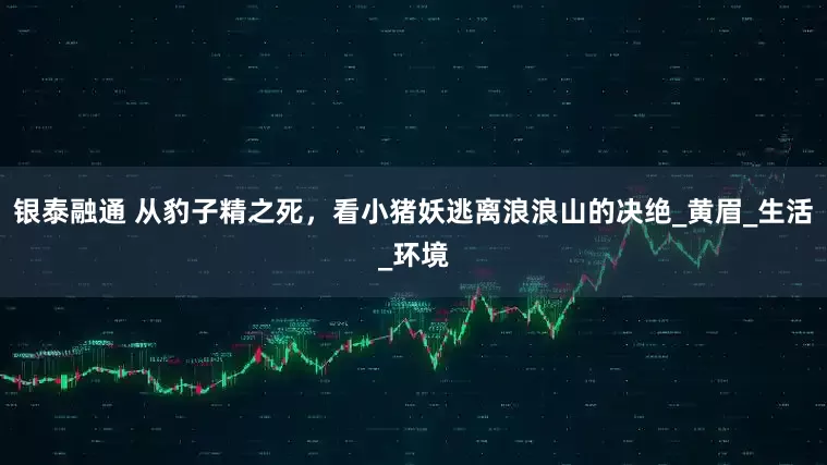 银泰融通 从豹子精之死，看小猪妖逃离浪浪山的决绝_黄眉_生活_环境