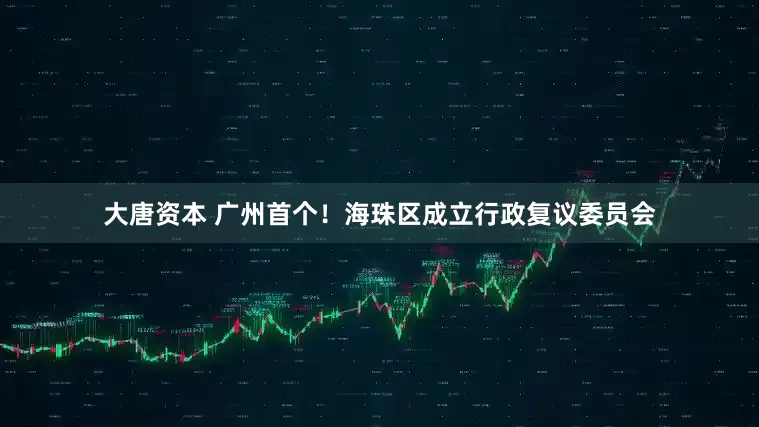 大唐资本 广州首个！海珠区成立行政复议委员会
