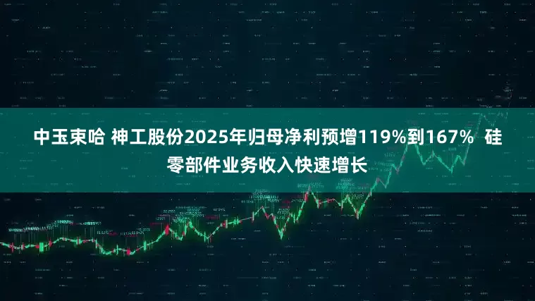 中玉束哈 神工股份2025年归母净利预增119%到167%  硅零部件业务收入快速增长
