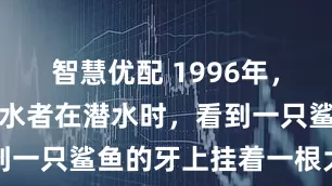 智慧优配 1996年，一位女性潜水者在潜水时，看到一只鲨鱼的牙上挂着一根大钩子