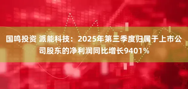 国鸣投资 派能科技：2025年第三季度归属于上市公司股东的净利润同比增长9401%